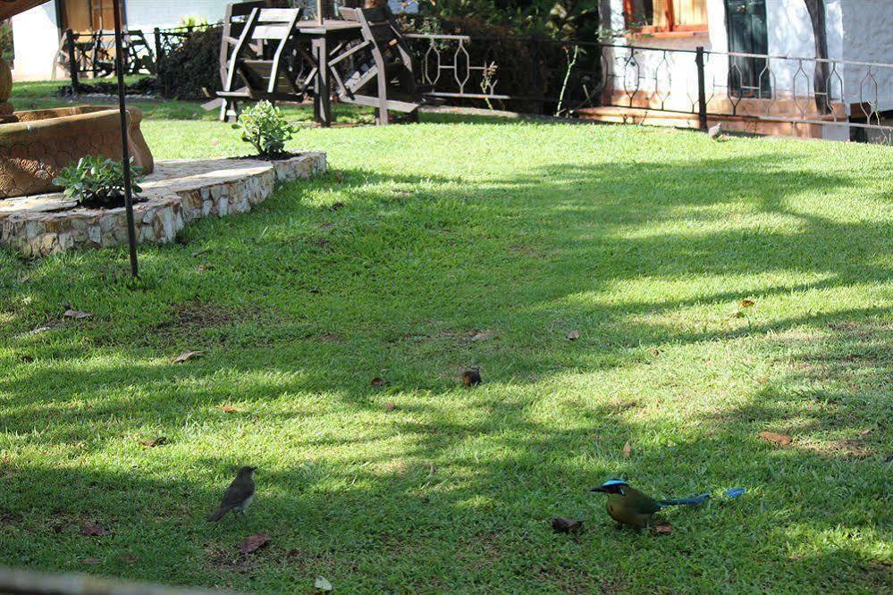 Ayenda Llanogrande Inn ริโอเนโกร ภายนอก รูปภาพ